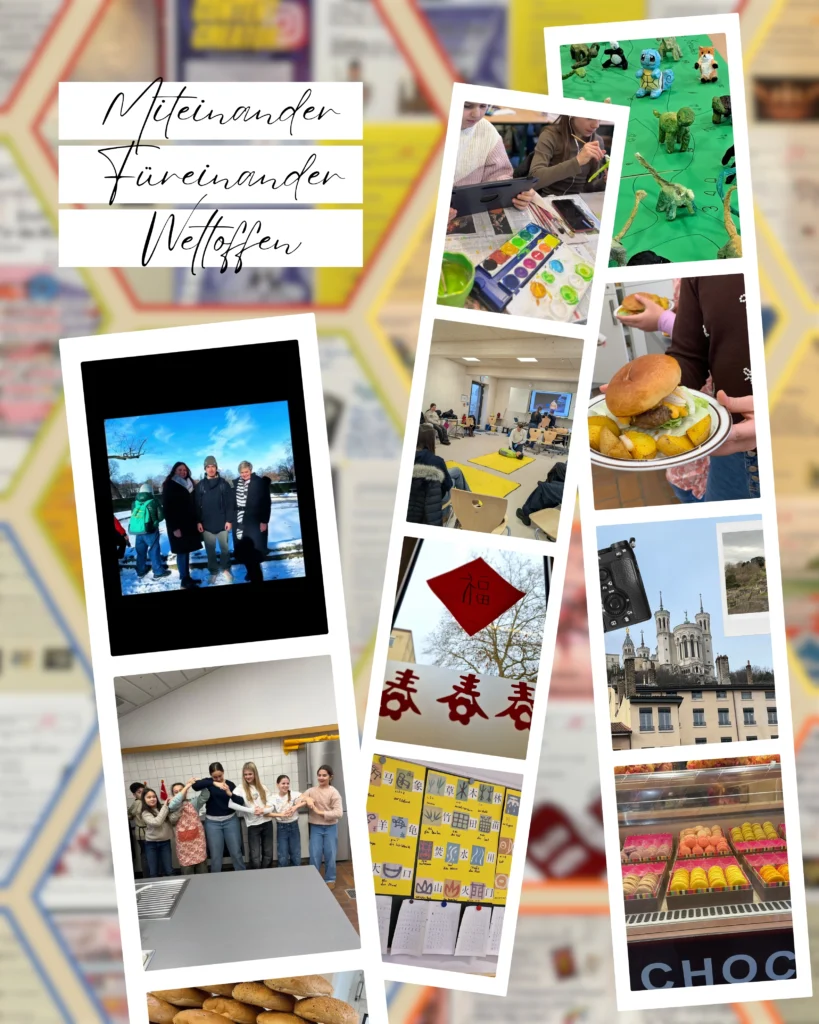 GSD 2h6yTyNRlLf2ZLsILo540BB1m