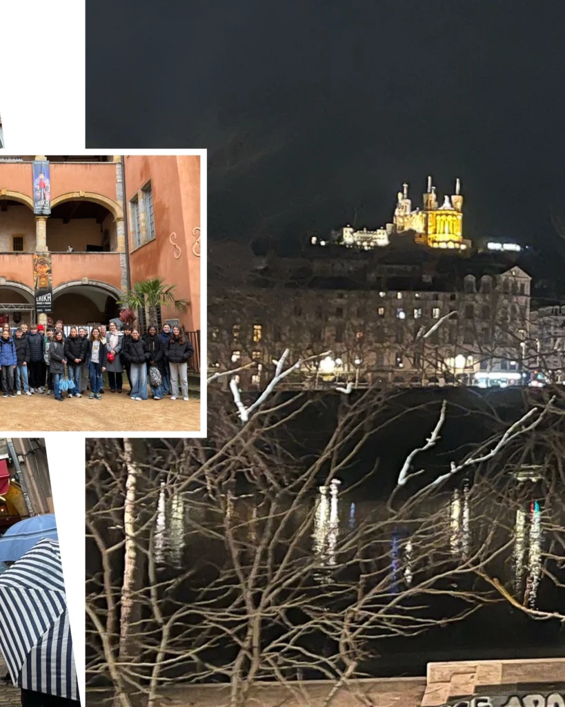 GSD 4D6T1Cs9uOUPiXB6LMxIyHMa6