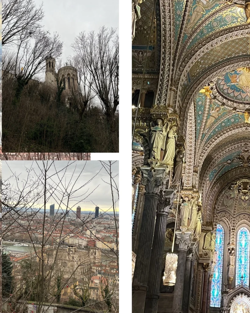 GSD Sow5MZZAslVCDtuPu5uc5ALZ8