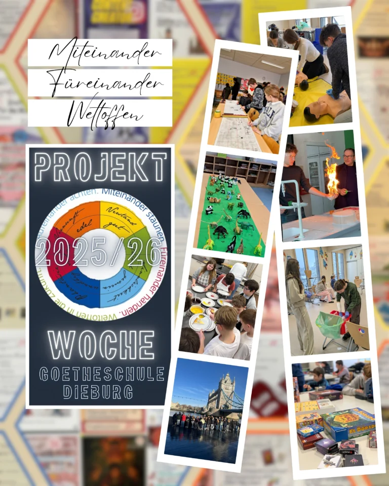 GSD jsFzxAme2ditBXXj32gOFwk3C