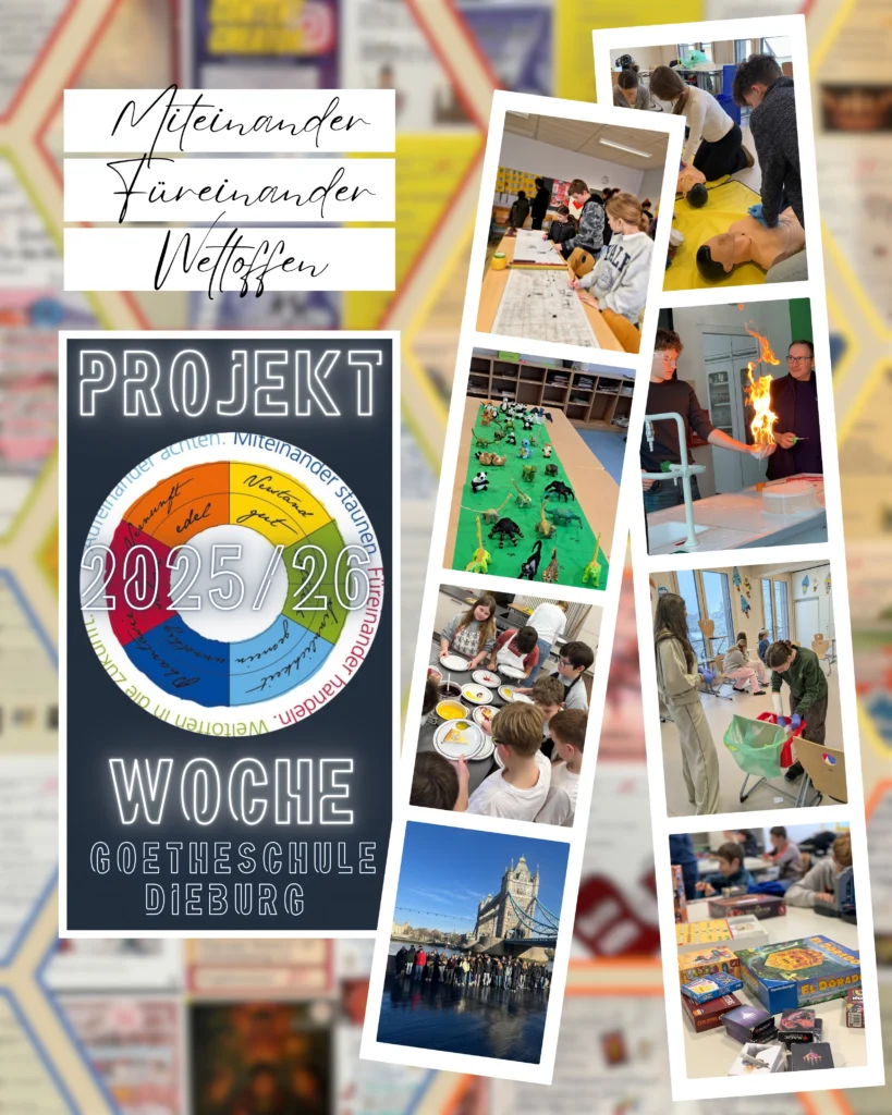 GSD jsFzxAme2ditBXXj32gOFwk3C